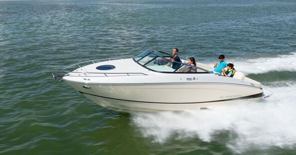 Regal LS4C, nowy, 2026