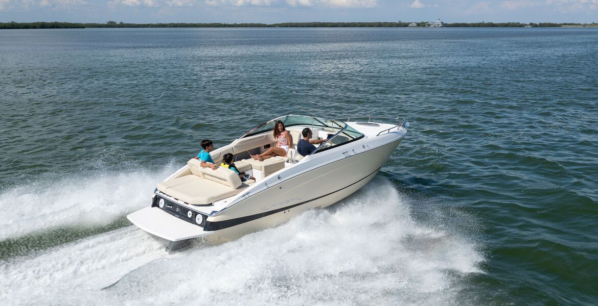 Regal LS4C, nowy, 2026